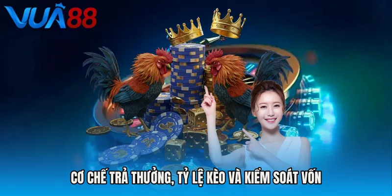 Cơ Chế Trả Thưởng, Tỷ Lệ Kèo Và Kiểm Soát Vốn