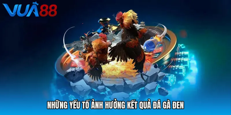 Những Yếu Tố Ảnh Hưởng Kết Quả Đá Gà Đen